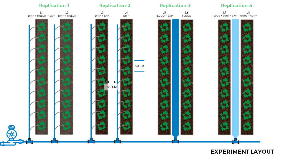 Experiment layout for the Shahi-HKRITA SAP pilot